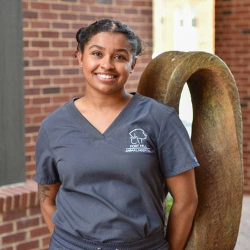Ariel - Veterinary Assistant